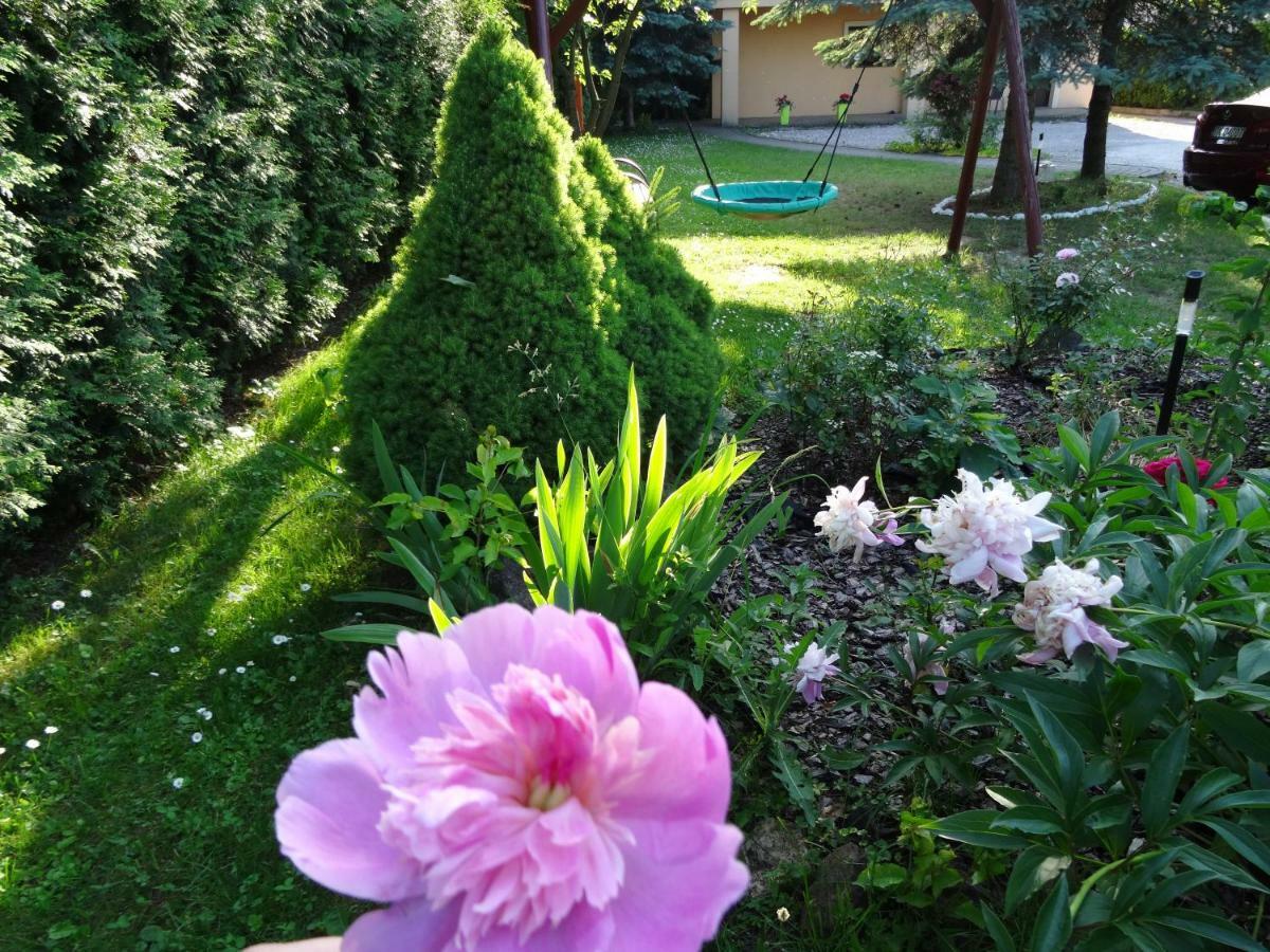 Dom Goscinny Przedmiescie Kielce Extérieur photo